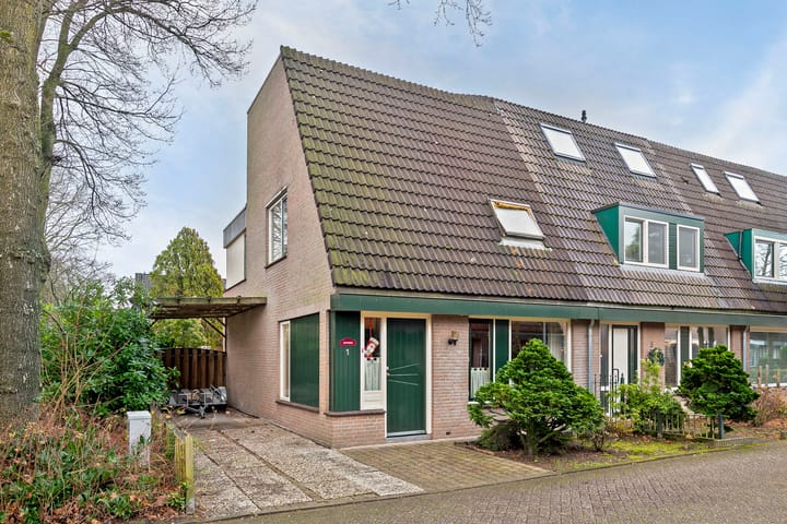 Foto 1 van Stoelenmatter 1