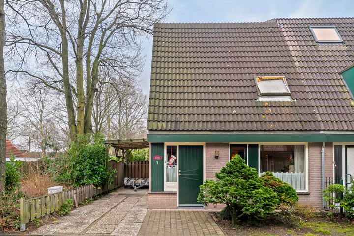 Foto 2 van Stoelenmatter 1