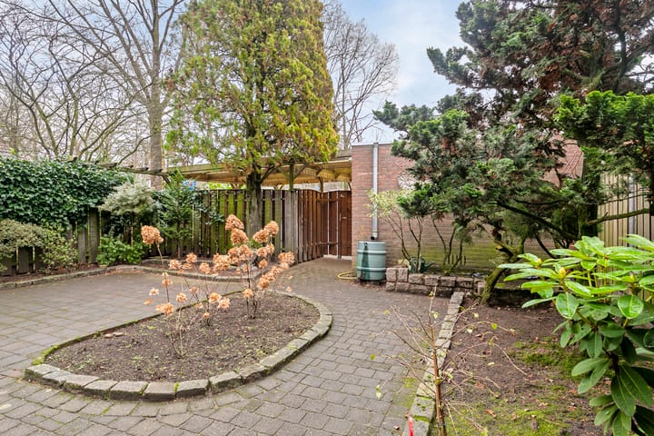 Foto 29 van Stoelenmatter 1