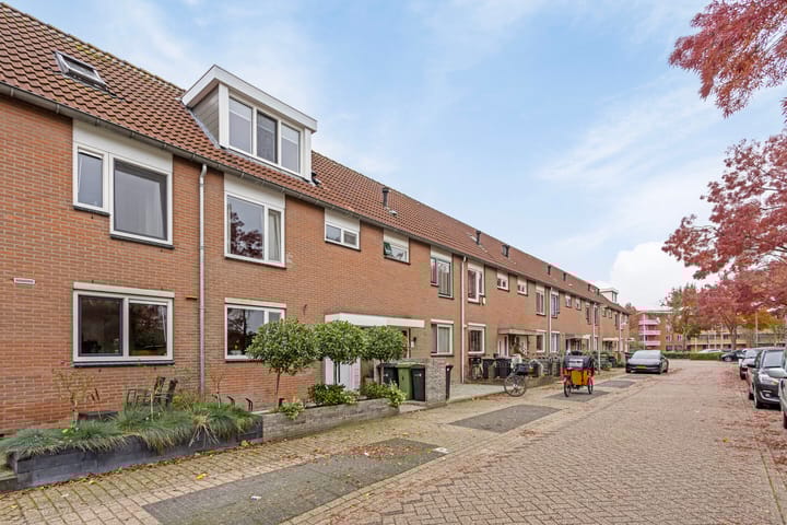 Foto 8 van Bandijk 4