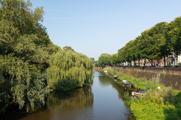 Photo 59 of Koningsweg 19