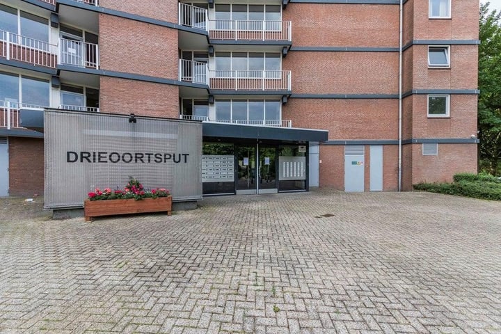 Bekijk foto 2 van Drieoortsput 21