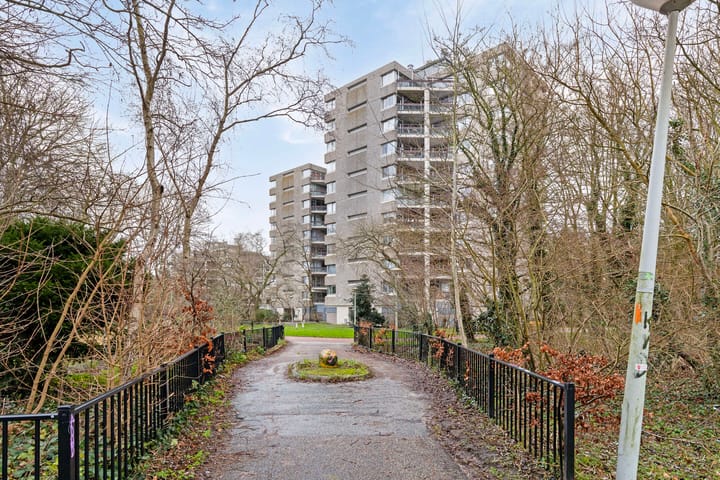 Photo 7 of Gouden Leeuw 738