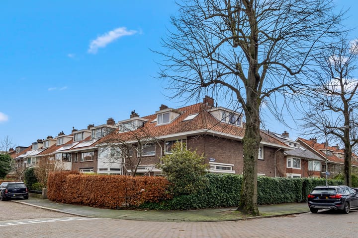 Foto 35 van Looierslaan 115