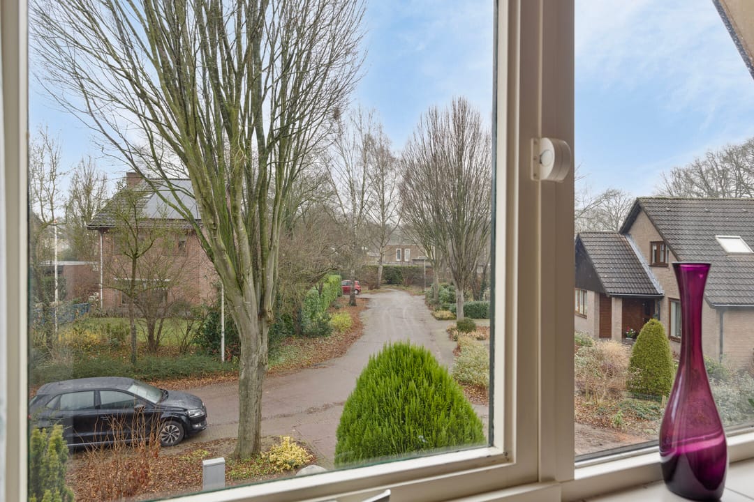 Foto 31 van Reuvekamp 10