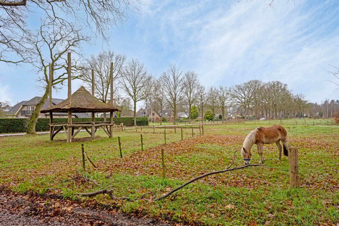 Foto 32 van Reuvekamp 10