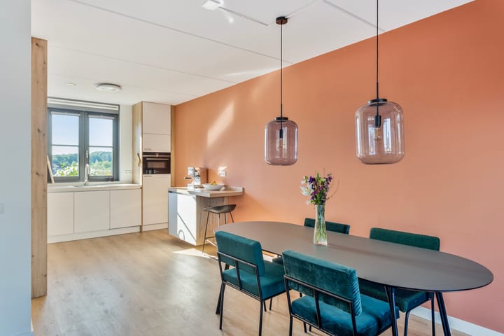 Foto 11 van Janus Baulingstraat 9