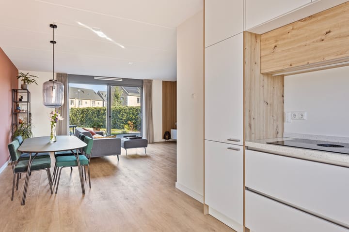 Foto 12 van Janus Baulingstraat 9