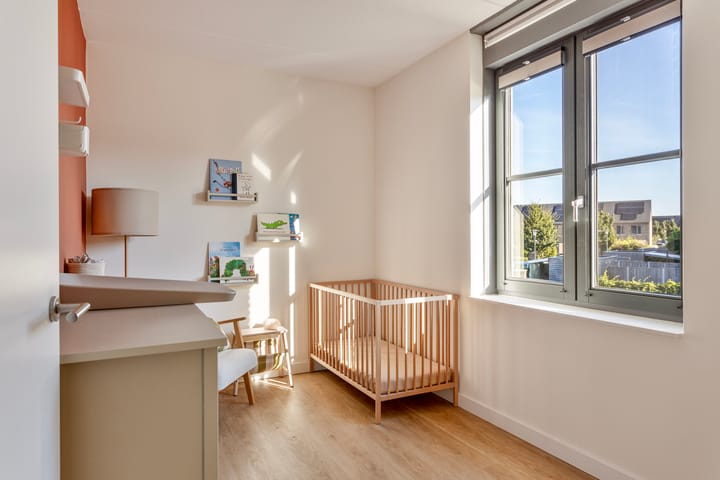 Foto 21 van Janus Baulingstraat 9