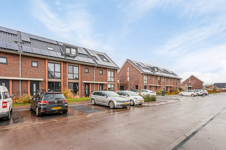 Foto 29 van Sleutelbloem 69