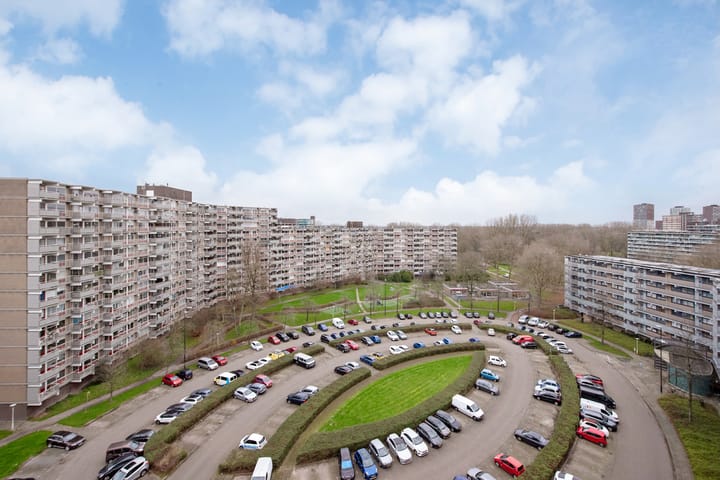 Photo 33 of Kadoelerbos 190