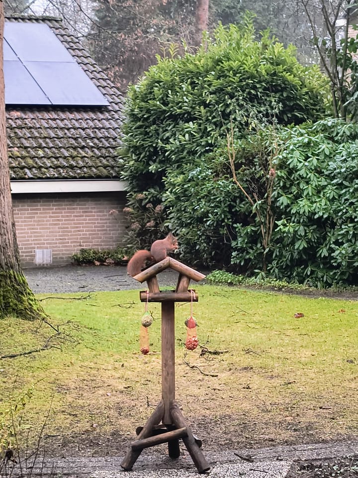 Foto 59 van Bilderdijklaan 3