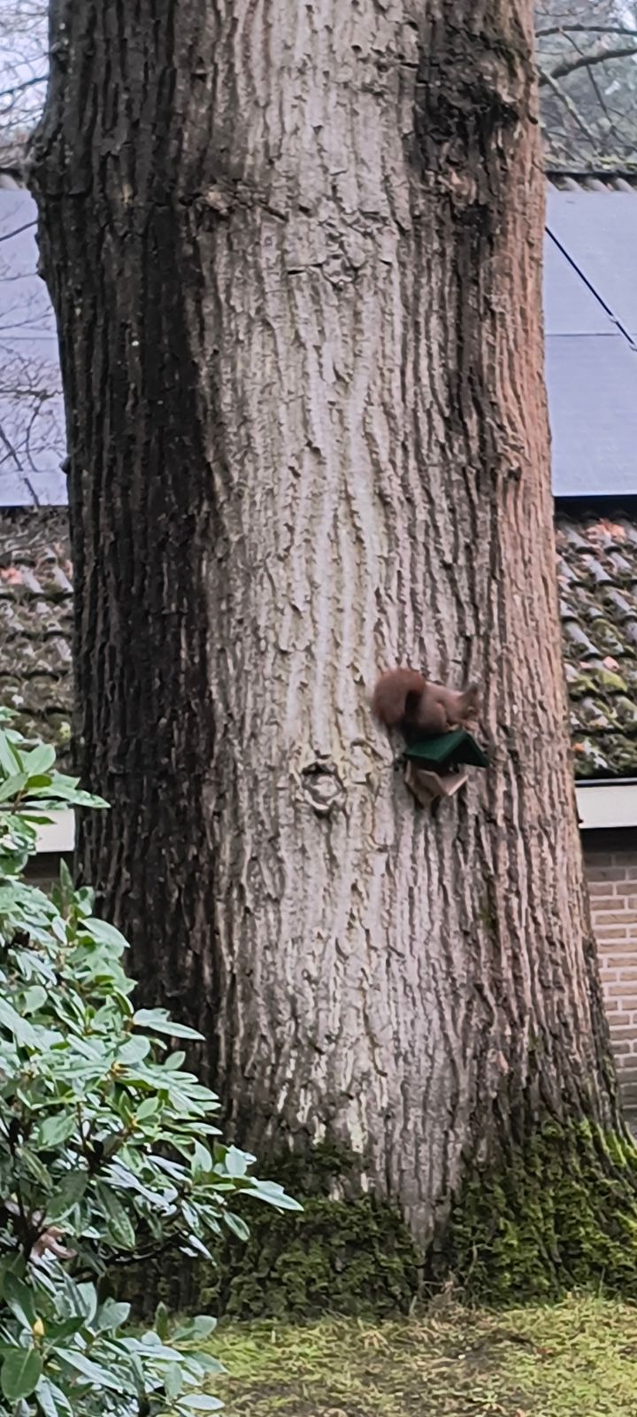 Foto 60 van Bilderdijklaan 3