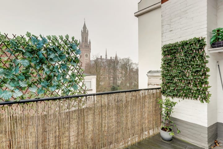 Foto 30 van Anna Paulownastraat 74-C