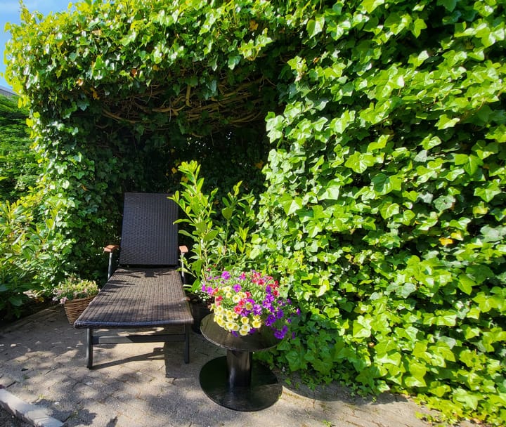 Foto 33 van Bosweg 21