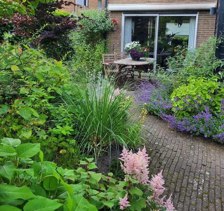 Foto 34 van Bosweg 21