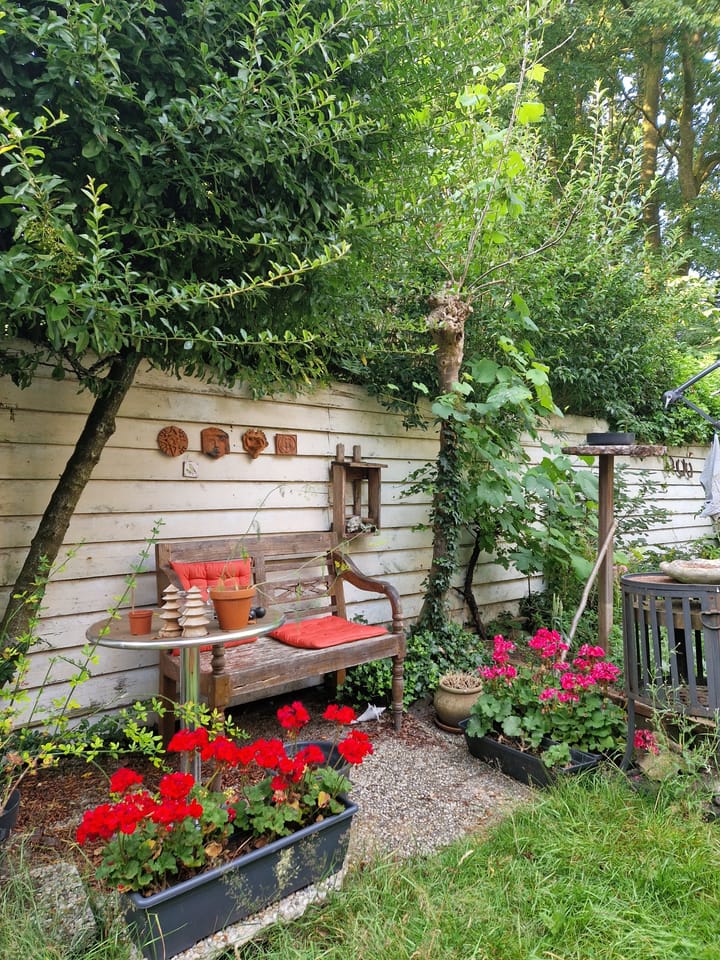 Foto 50 van Swammerdamstraat 22