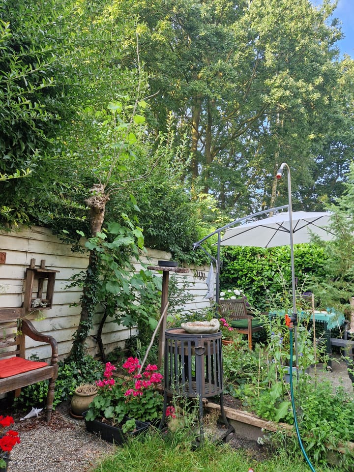 Foto 51 van Swammerdamstraat 22