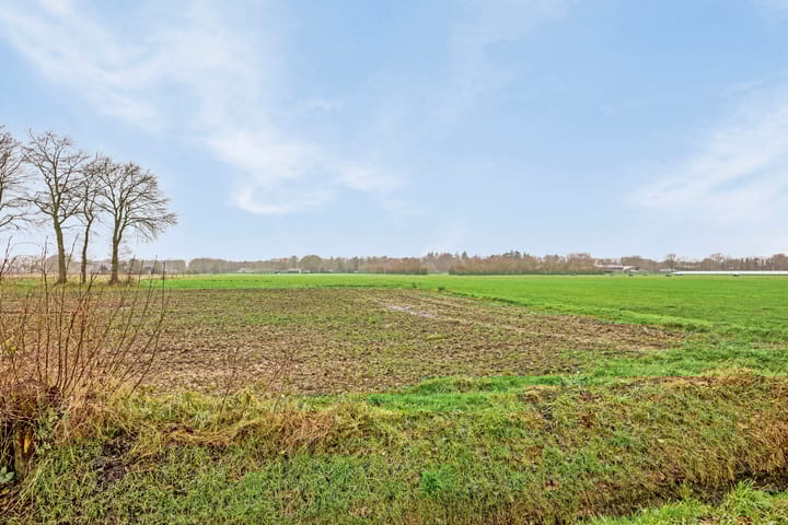 Foto 48 van Gentiaan 7