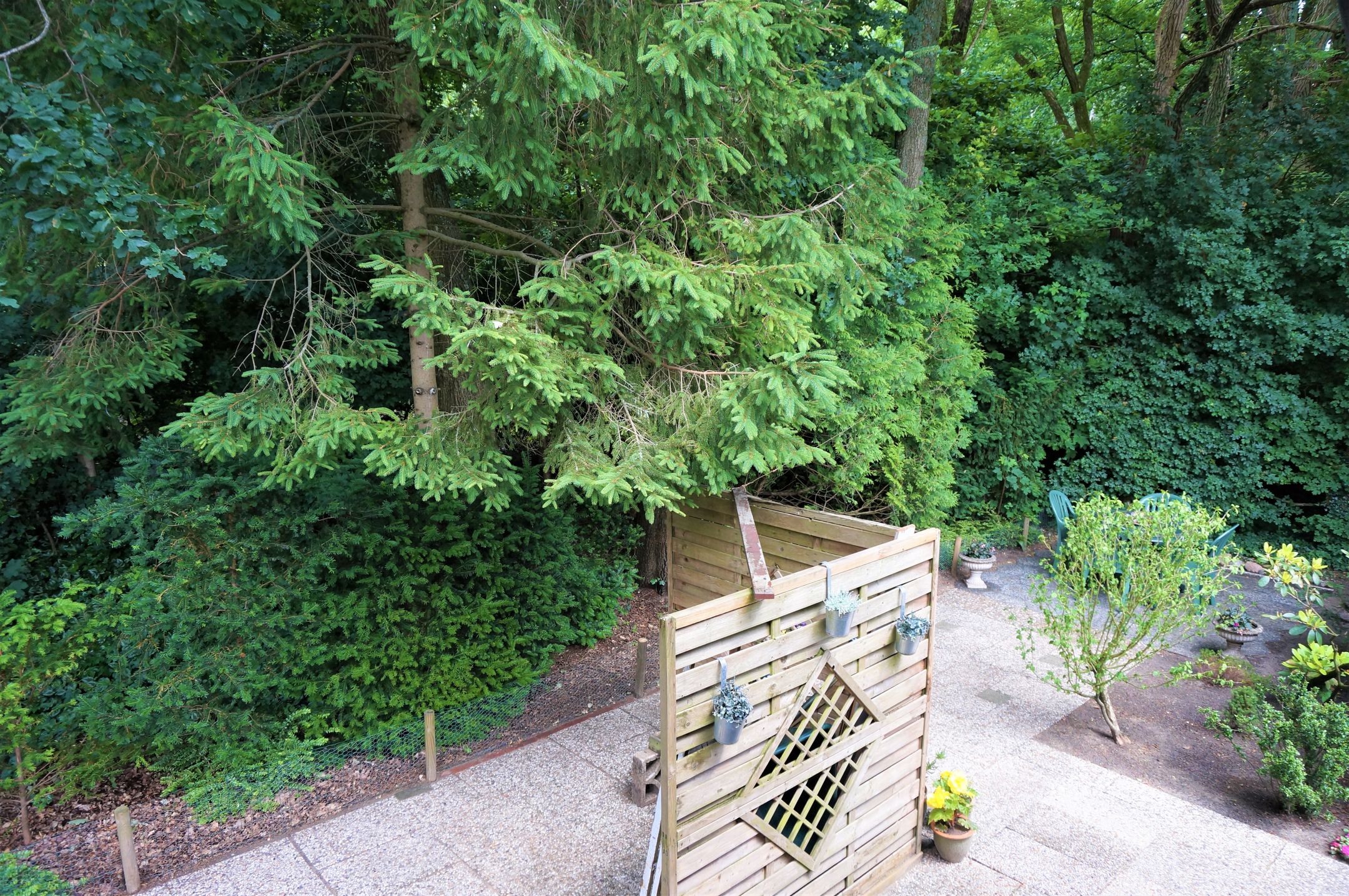 Photo 18 of Haspel 97-32