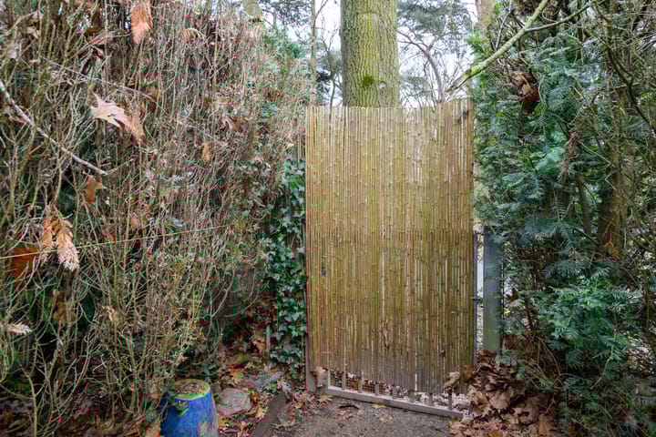 Foto 47 van Bargapark 67