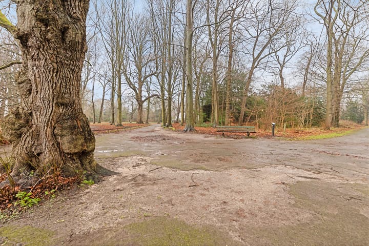 Foto 11 van Driehuizerkerkweg 10