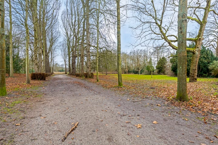 Foto 42 van Driehuizerkerkweg 10