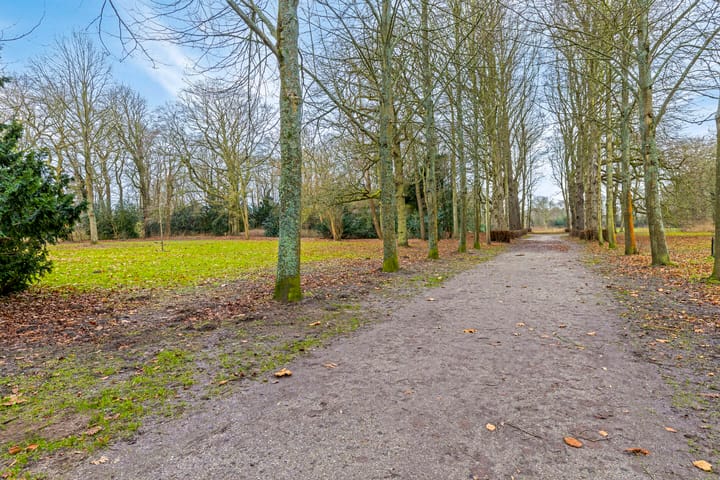 Foto 40 van Driehuizerkerkweg 10