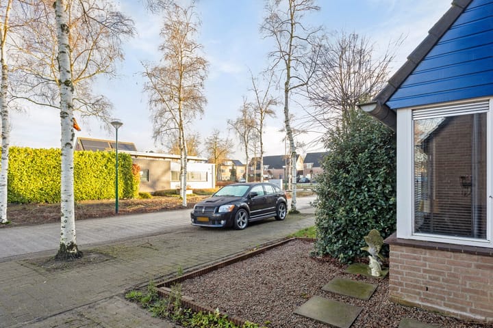 Foto 9 van Wegedoorn 7