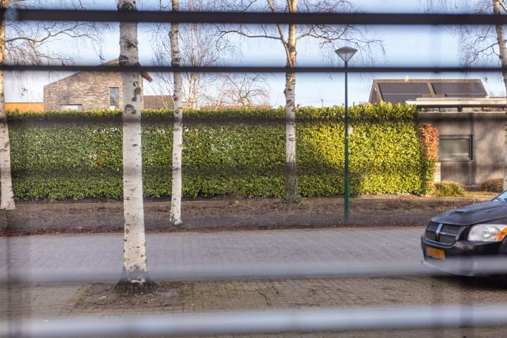 Foto 17 van Wegedoorn 7