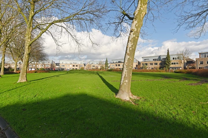 Foto 49 van Adelaarsvaren 63