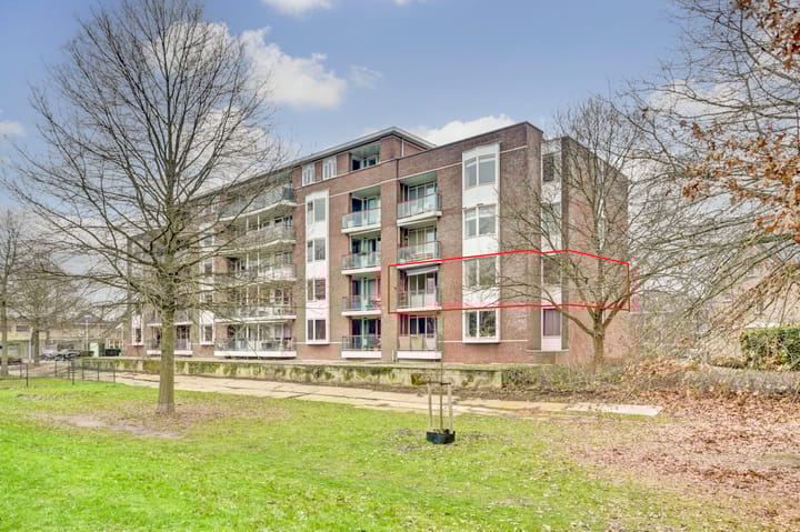 undefined main image