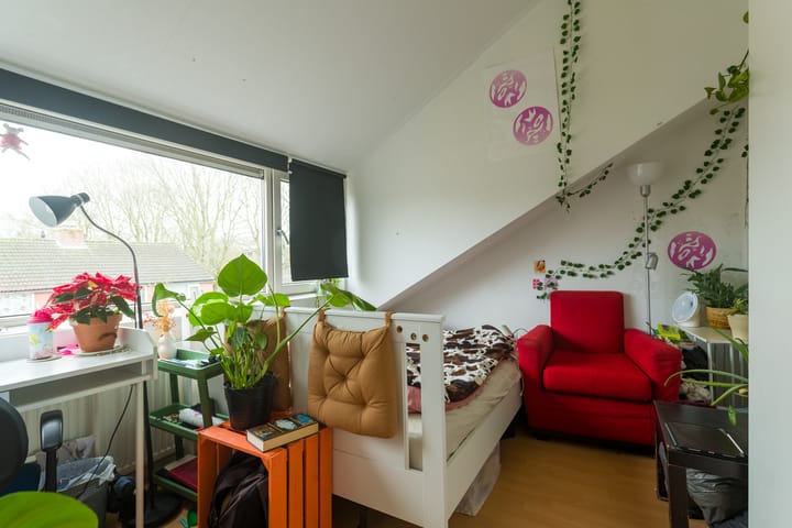 Foto 9 van Lierstraat 31