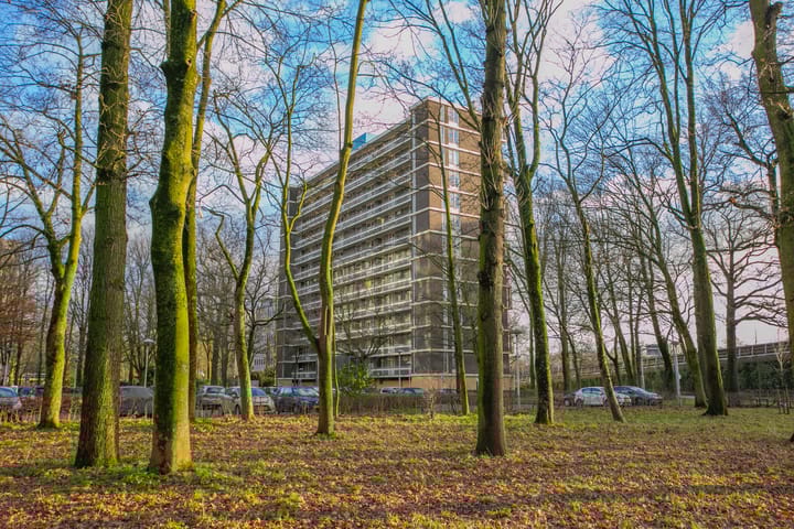 Foto 21 van Rachmaninoffplantsoen 56