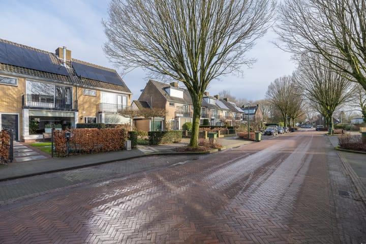 Foto 45 van Raadhuislaan 58