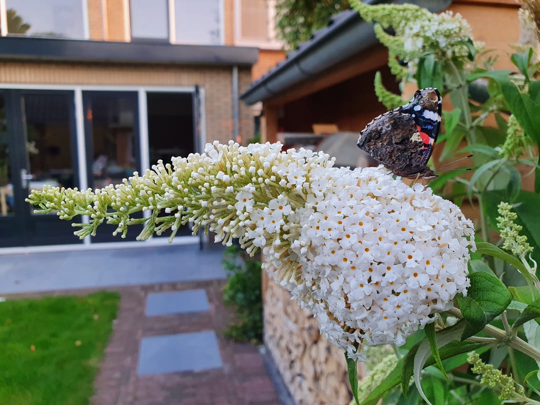 Foto 47 van Raadhuislaan 58