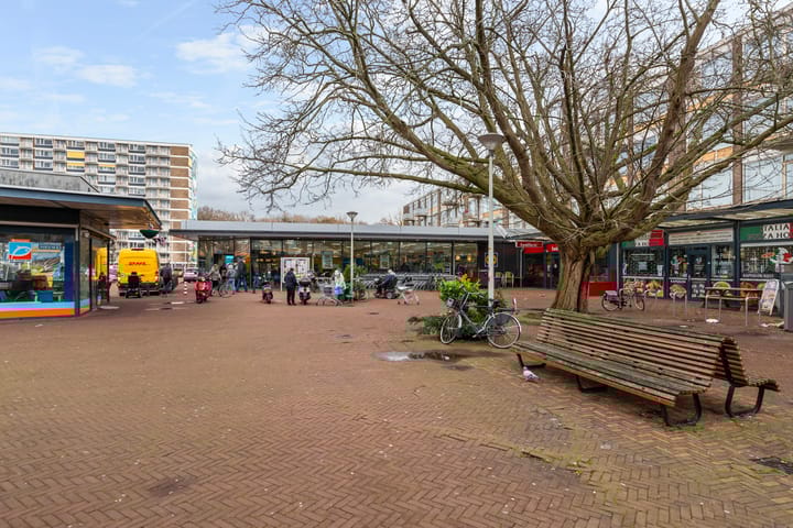 Photo 36 of Vreeswijkstraat 351