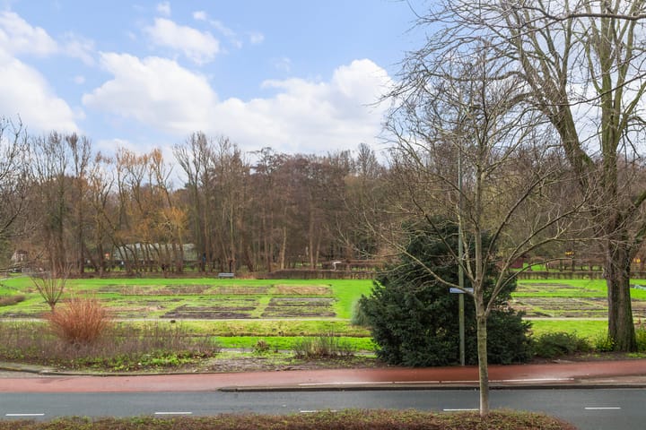 Photo 38 of Vreeswijkstraat 351
