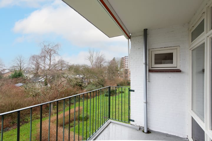 Foto 24 van Terborchlaan 107