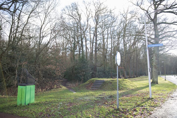 Foto 51 van Mesdagstraat 45