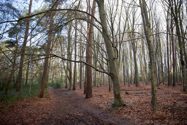 Foto 52 van Mesdagstraat 45