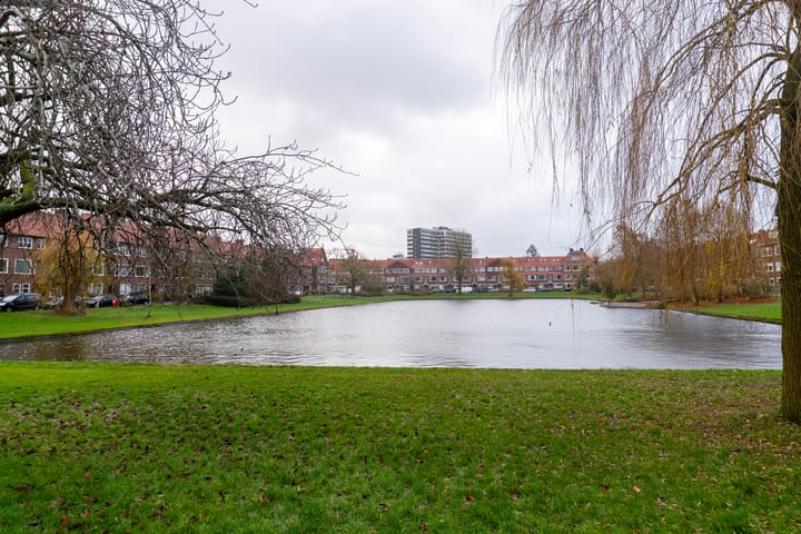 Foto 20 van Van der Doesstraat 1-A