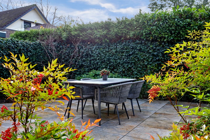 Foto 69 van Bovistlaan 8