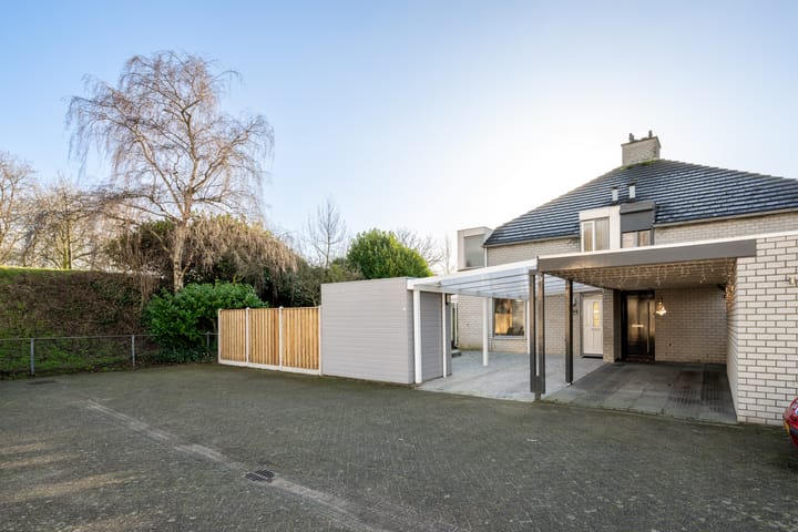 Foto 1 van Citroenvlinder 12