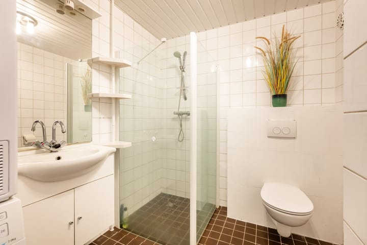 Foto 3 van Citroenvlinder 12