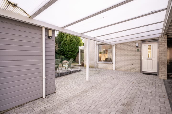 Foto 5 van Citroenvlinder 12