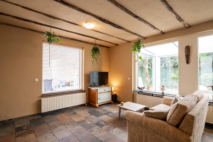 Foto 8 van Citroenvlinder 12