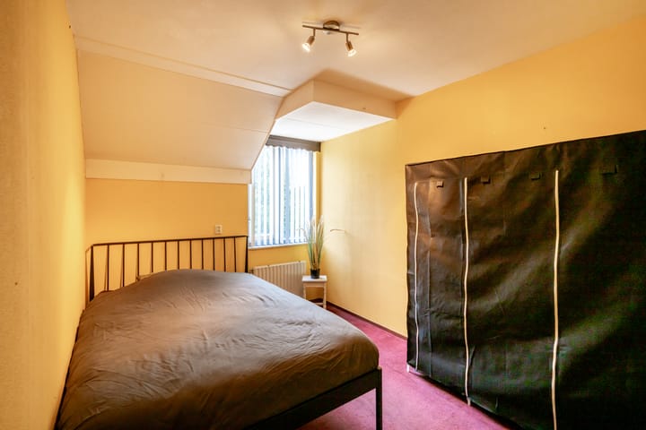 Foto 12 van Citroenvlinder 12