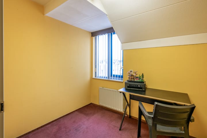 Foto 14 van Citroenvlinder 12