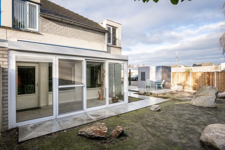 Foto 19 van Citroenvlinder 12